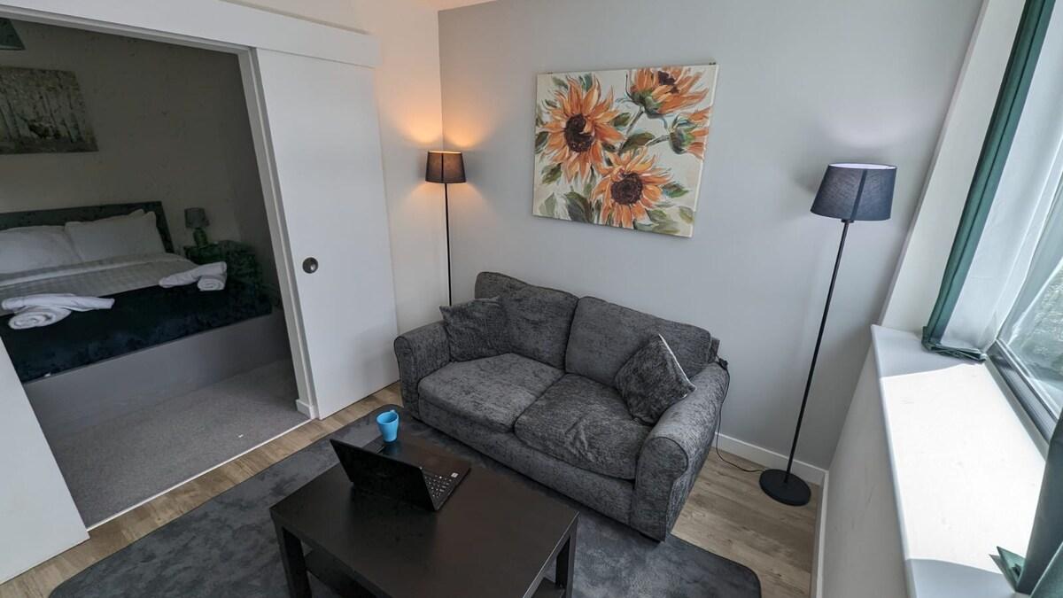 Lovely 1BR Penthouse near MCR Stadiums1